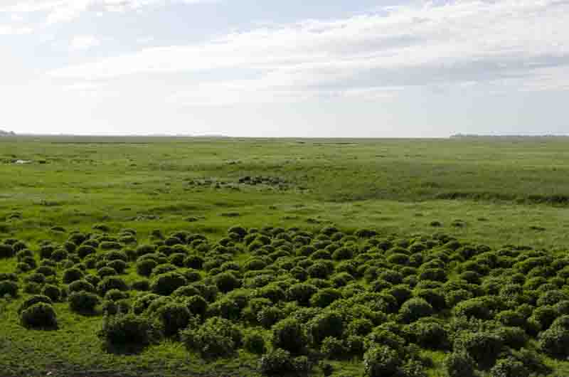 Francia - Bahía de Somme 02.jpg